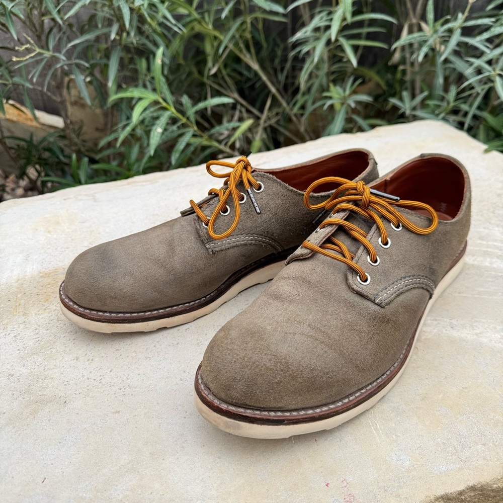 Red Wing Shoes 8056 Sage Green rough out  Work Oxford